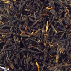 Yunnan Yunnan